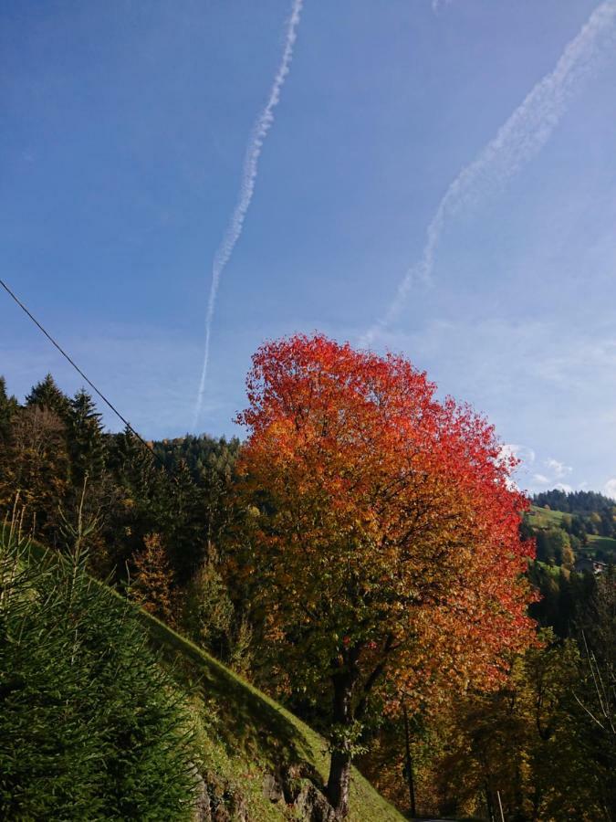 Apart Pfister Aschau Im Zillertal Ngoại thất bức ảnh